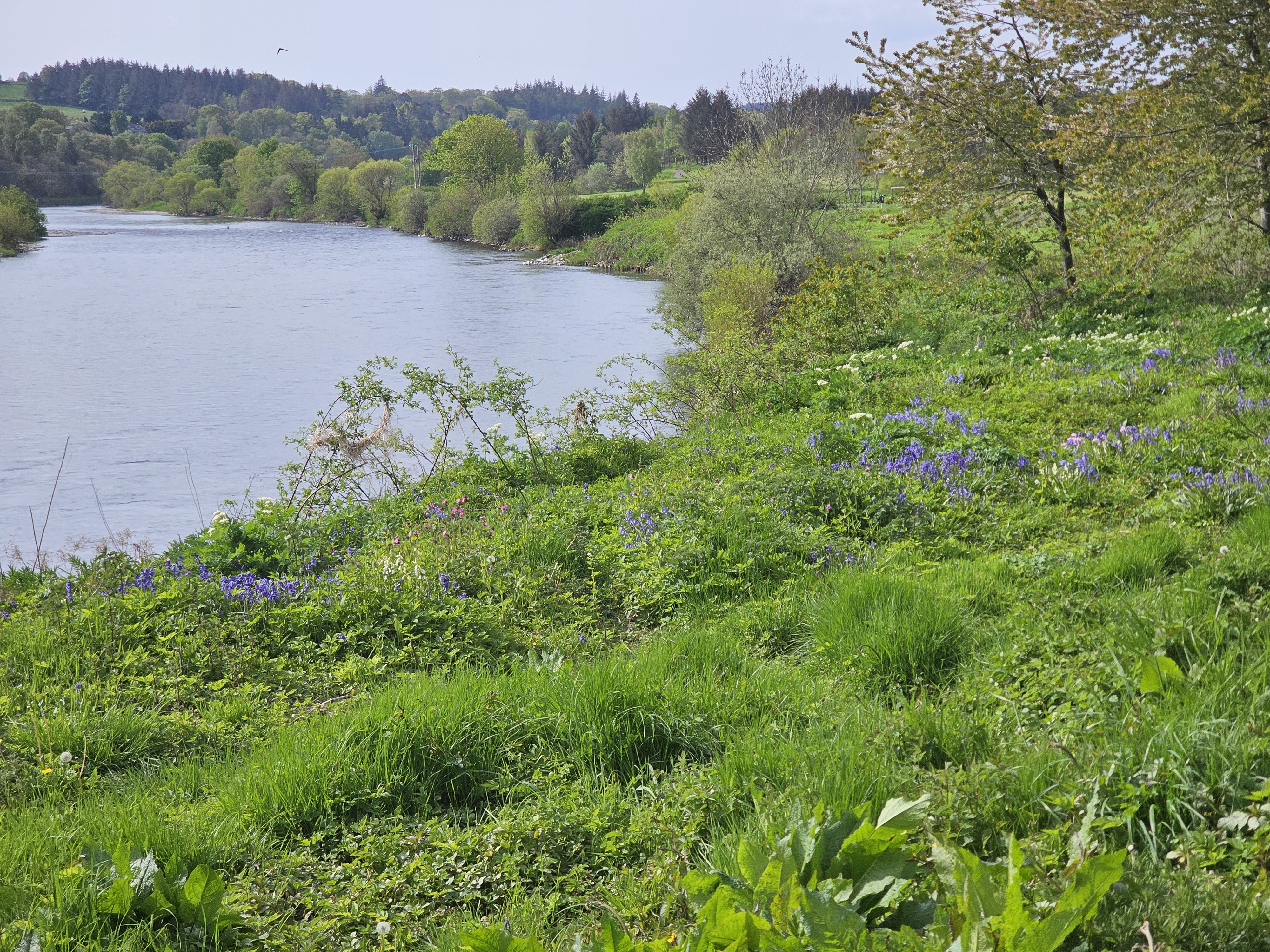 UK nature